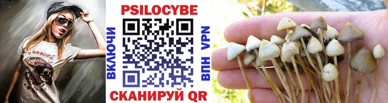 Купить  Малгобек  Галлюциногенные грибы прущие грибы 